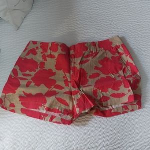 Brand New Loft Short